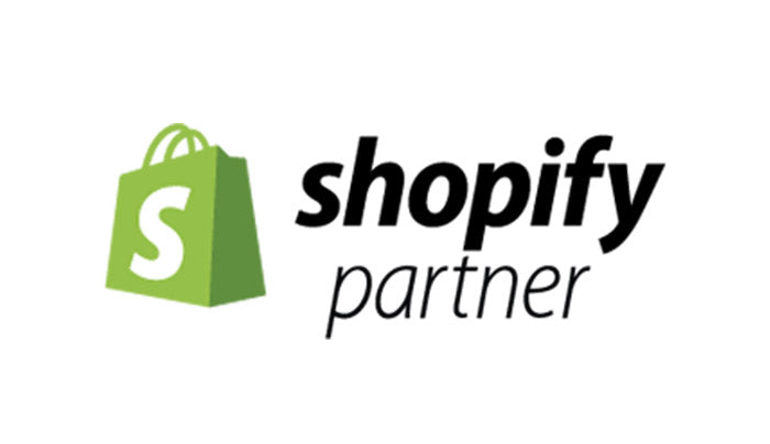 Shopify Basic Setup Service - GekkoTech