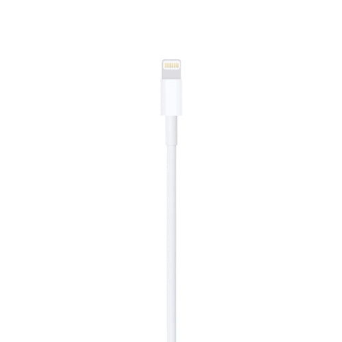 Apple Charge/Sync Lightning to USB Cable 3ft White