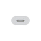 Apple USB-C to Lightning Adapter White