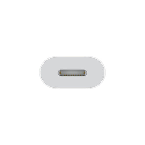 Apple USB-C to Lightning Adapter White